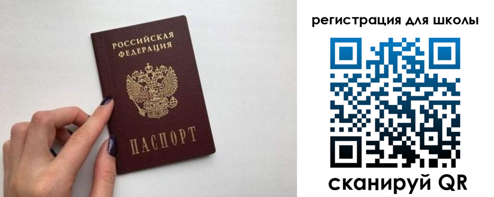 прописка поиск в Ясном